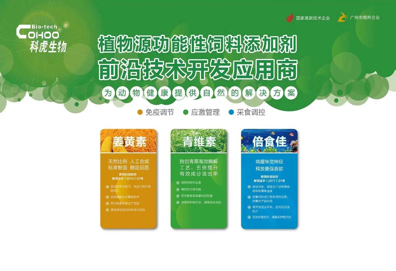 金龙迎宾·(中国)有限公司官网